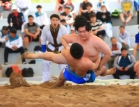 기사이미지