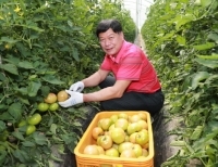 기사이미지