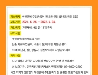 기사이미지